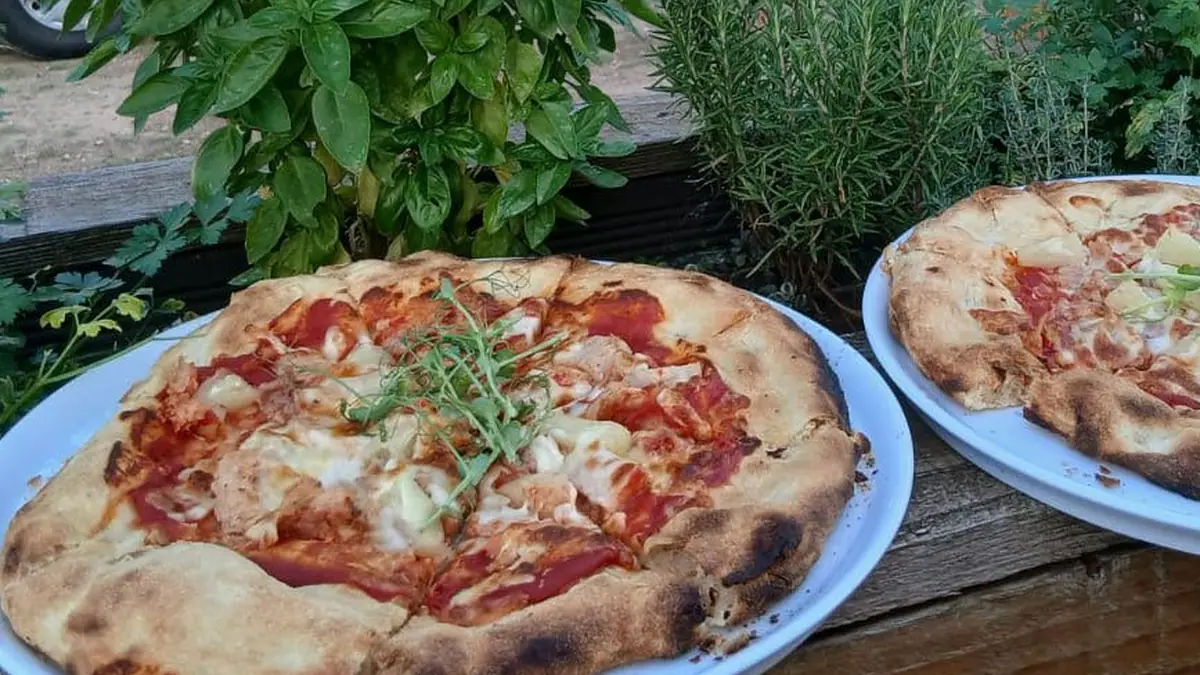 Snug Cafe @ Bishop's Court Farm – cake shop in Dorchester-on-Thames, Wallingford